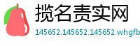 揽名责实网